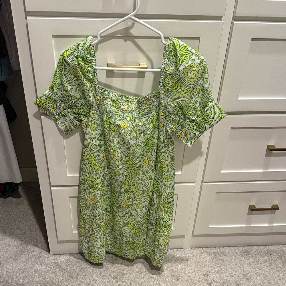 J. Crew Vibrant Green Paisley dress